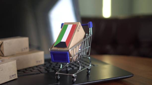 Online Business in Kuwait: Ease of Starting E-Commerce Ventures 2 online business in kuwait