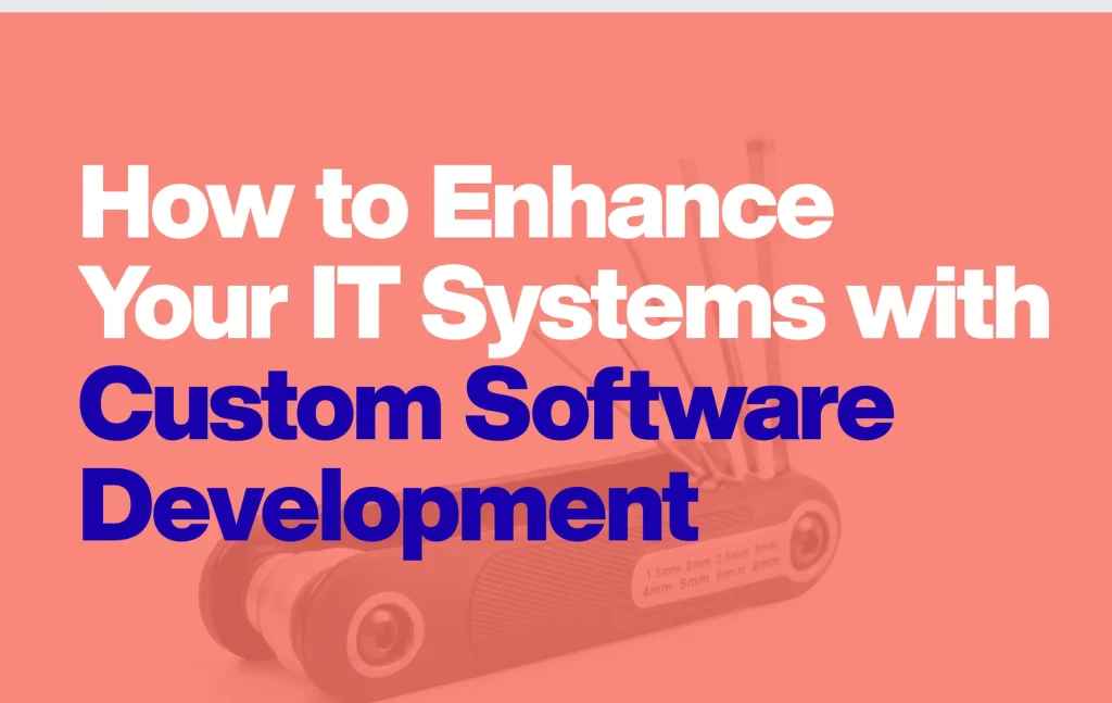 Custom software development increasing business efficiency