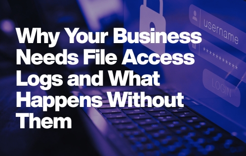 A compliance report generated from file access logs, ensuring adherence to GDPR, ISO, or HIPAA standards.